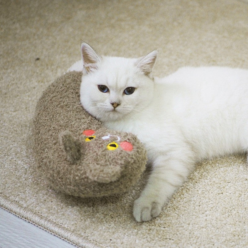 Sleeping Companion – Mysig Sovmatta för Katter